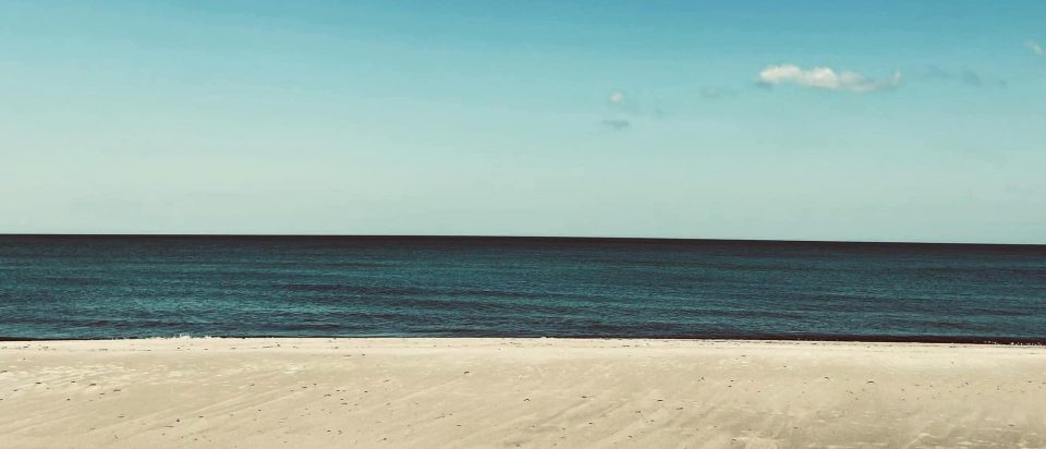 347126917_1566923997471205_6775087369109863386_n